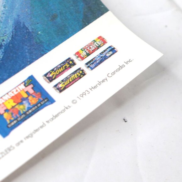 Vintage 1993 XVII Olympic Winter Games Psoter Hershey Stewart Sherwood Artist - Picture 3 of 7